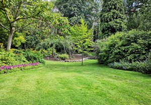 Optimiser l'expérience du jardin à Saint-Sorlin-de-Conac